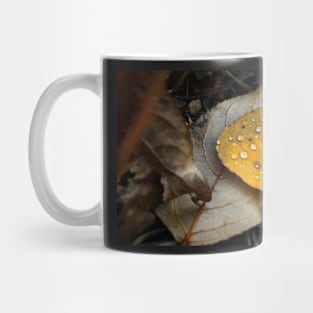 Aspen Fall Leaf Mug